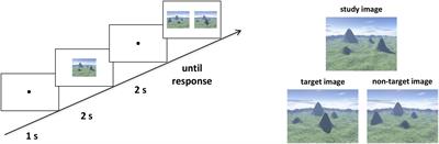 Dissociation of categorical and coordinate spatial relations on dynamic network organization states